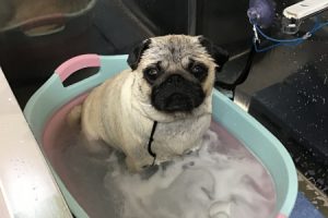 3月のお友達☆