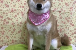 3月のお友達☆