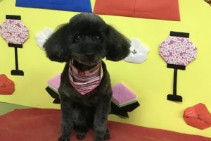 3月のお友達☆