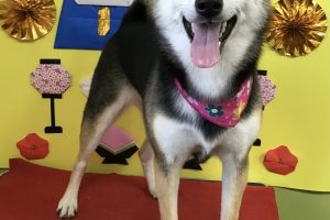 3月のお友達☆