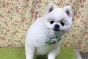 3月のお友達☆