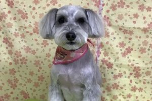 3月のお友達☆