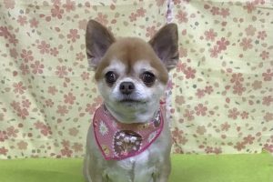 3月のお友達☆