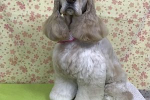 3月のお友達☆