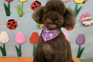 4月のお友達☆