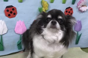 4月のお友達☆