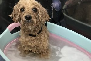 4月のお友達☆