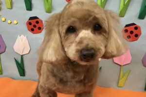 4月のお友達☆
