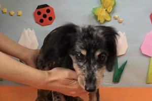 4月のお友達☆