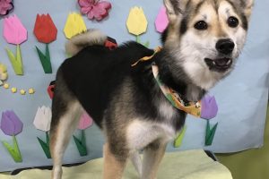 4月のお友達☆
