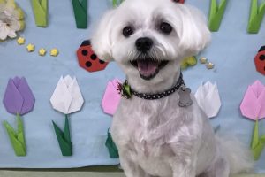 4月のお友達☆