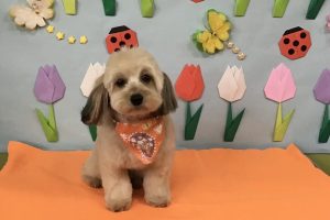 4月のお友達☆