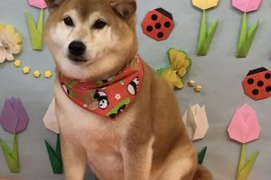 4月のお友達☆