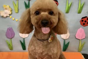 4月のお友達☆