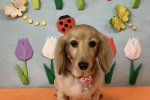 4月のお友達☆