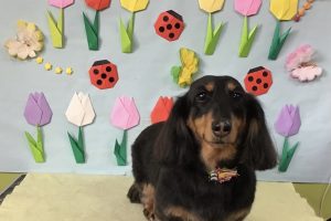 4月のお友達☆