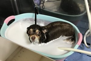 4月のお友達☆