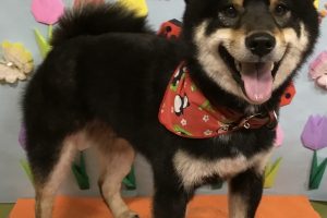 4月のお友達☆