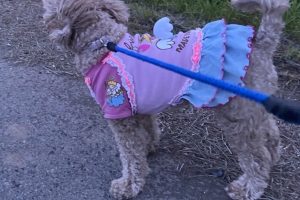 お泊まり☆