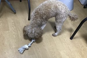 お泊まり☆