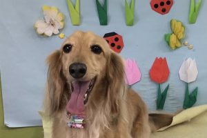 4月のお友達☆