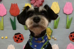 4月のお友達☆
