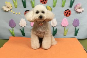 4月のお友達☆