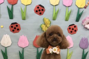 4月のお友達☆
