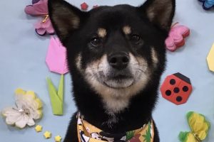 4月のお友達☆