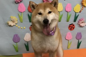 4月のお友達☆