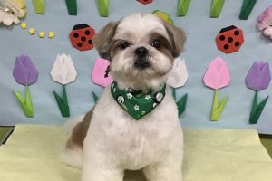 4月のお友達☆