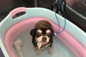 4月のお友達☆