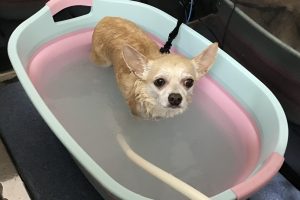 4月のお友達☆
