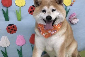 4月のお友達☆