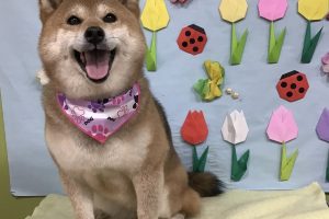 4月のお友達☆