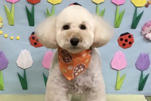 4月のお友達☆