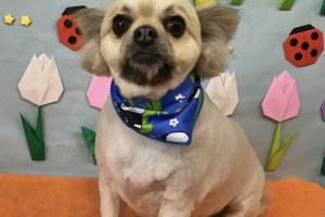 4月のお友達☆
