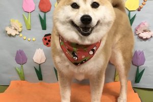 4月のお友達☆
