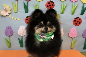 4月のお友達☆