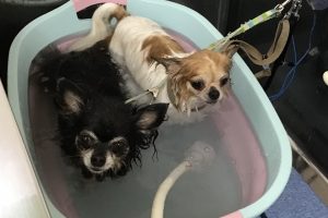 4月のお友達☆