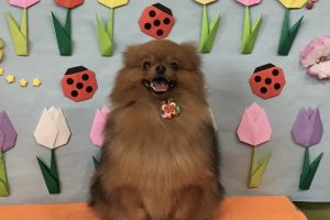 4月のお友達☆