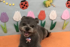 4月のお友達☆