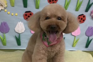 4月のお友達☆