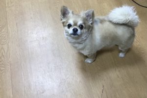 お泊り☆