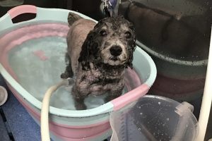 4月のお友達☆
