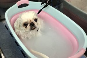 4月のお友達☆