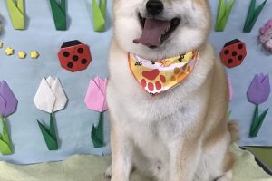 4月のお友達☆