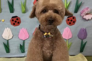 4月のお友達☆