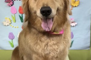 4月のお友達☆