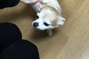 お泊り☆